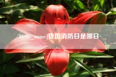 邳州我国消防日是哪日