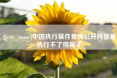 邳州中国执行案件查询公开网都是执行不了得案子