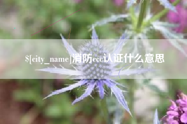 邳州消防ccc认证什么意思
