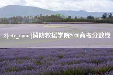 邳州消防救援学院2020高考分数线