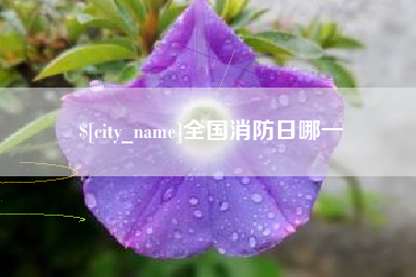 邳州全国消防日哪一