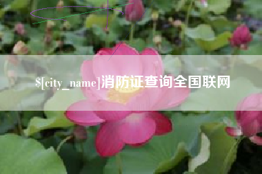 邳州消防证查询全国联网