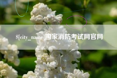 邳州国家消防考试网官网