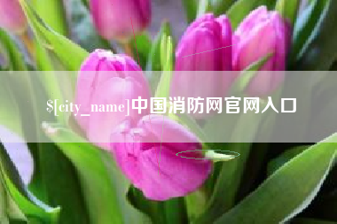 邳州中国消防网官网入口
