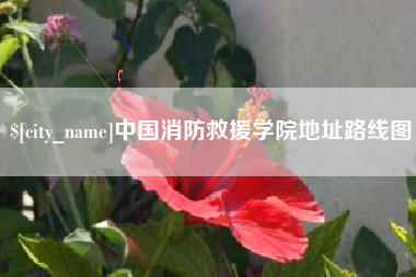 邳州中国消防救援学院地址路线图