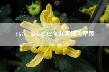 邳州2022年九宫格飞星图