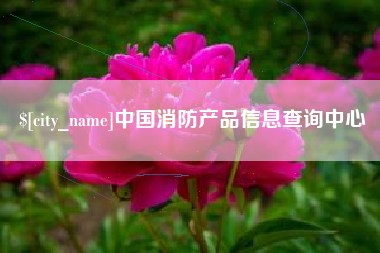 邳州中国消防产品信息查询中心