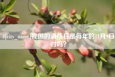 邳州我国的消防日是每年的11月9日对吗？