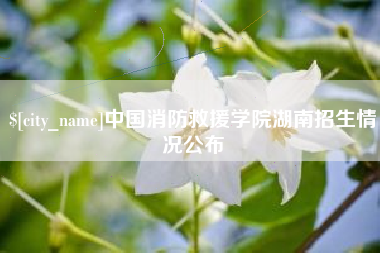 邳州中国消防救援学院湖南招生情况公布