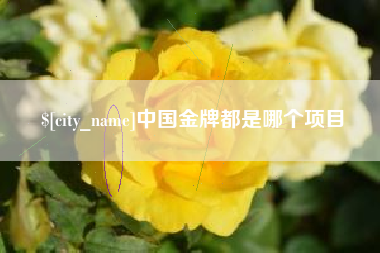 邳州中国金牌都是哪个项目