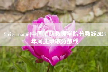 邳州中国消防救援学院分数线2023年河北录取分数线