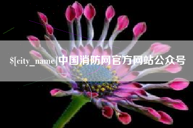 邳州中国消防网官方网站公众号
