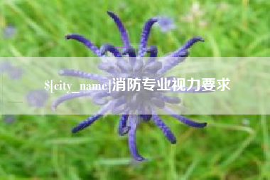 邳州消防专业视力要求