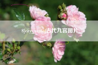 邳州古代九宫图片