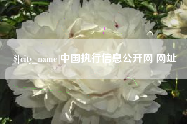 邳州中国执行信息公开网 网址