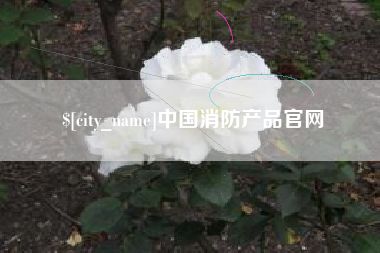 邳州中国消防产品官网