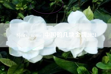 邳州中国的几块金牌2021