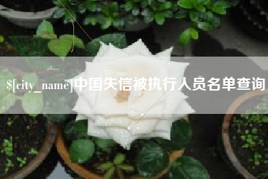 邳州中国失信被执行人员名单查询