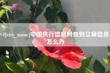 邳州中国执行信息网查到立案信息怎么办