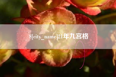 邳州21年九宫格