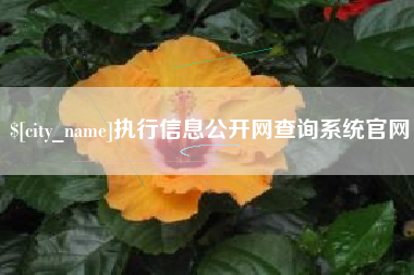 邳州执行信息公开网查询系统官网