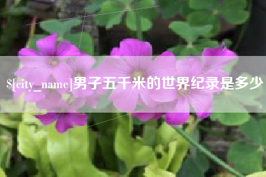 邳州男子五千米的世界纪录是多少
