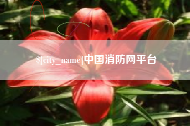 邳州中国消防网平台