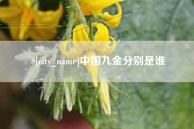 邳州中国九金分别是谁