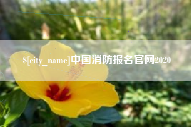 邳州中国消防报名官网2020