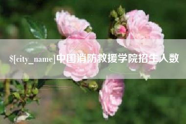 邳州中国消防救援学院招生人数