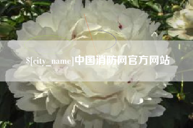 邳州中国消防网官方网站