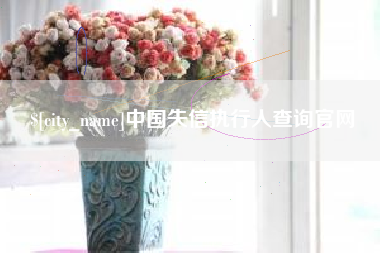 邳州中国失信执行人查询官网