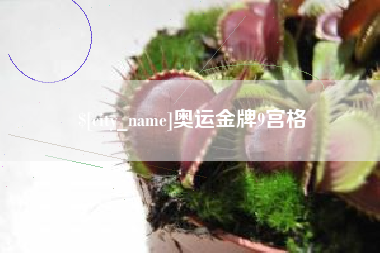 邳州奥运金牌9宫格