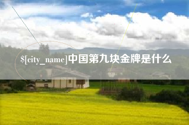 邳州中国第九块金牌是什么