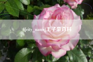 邳州王子豪百科
