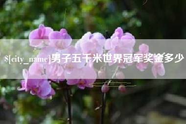 邳州男子五千米世界冠军奖金多少