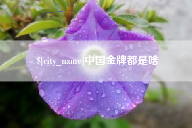 邳州中国金牌都是啥