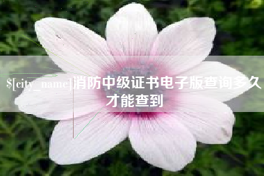 邳州消防中级证书电子版查询多久才能查到