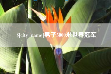 邳州男子5000米世界冠军