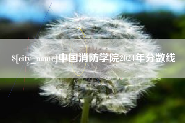 邳州中国消防学院2024年分数线