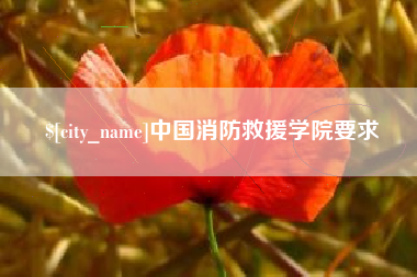 邳州中国消防救援学院要求
