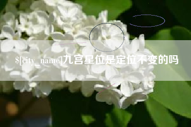 邳州九宫星位是定位不变的吗