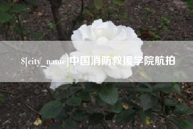 邳州中国消防救援学院航拍