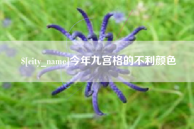 邳州今年九宫格的不利颜色