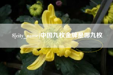 邳州中国九枚金牌是哪九枚