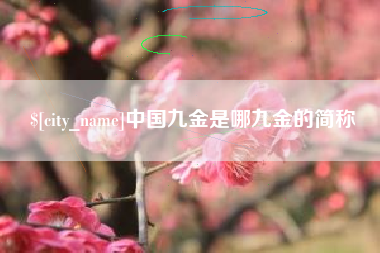 邳州中国九金是哪九金的简称