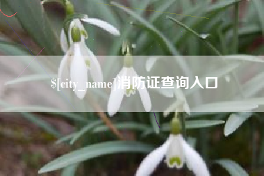 邳州消防证查询入口