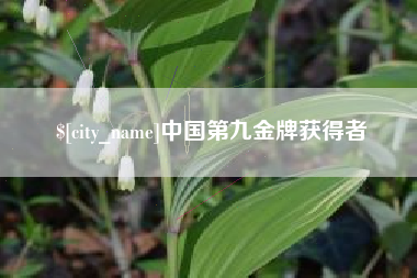 邳州中国第九金牌获得者