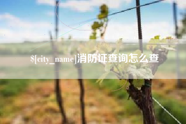 邳州消防证查询怎么查