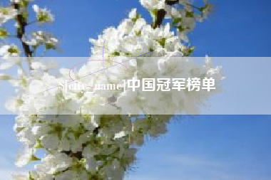 邳州中国冠军榜单
